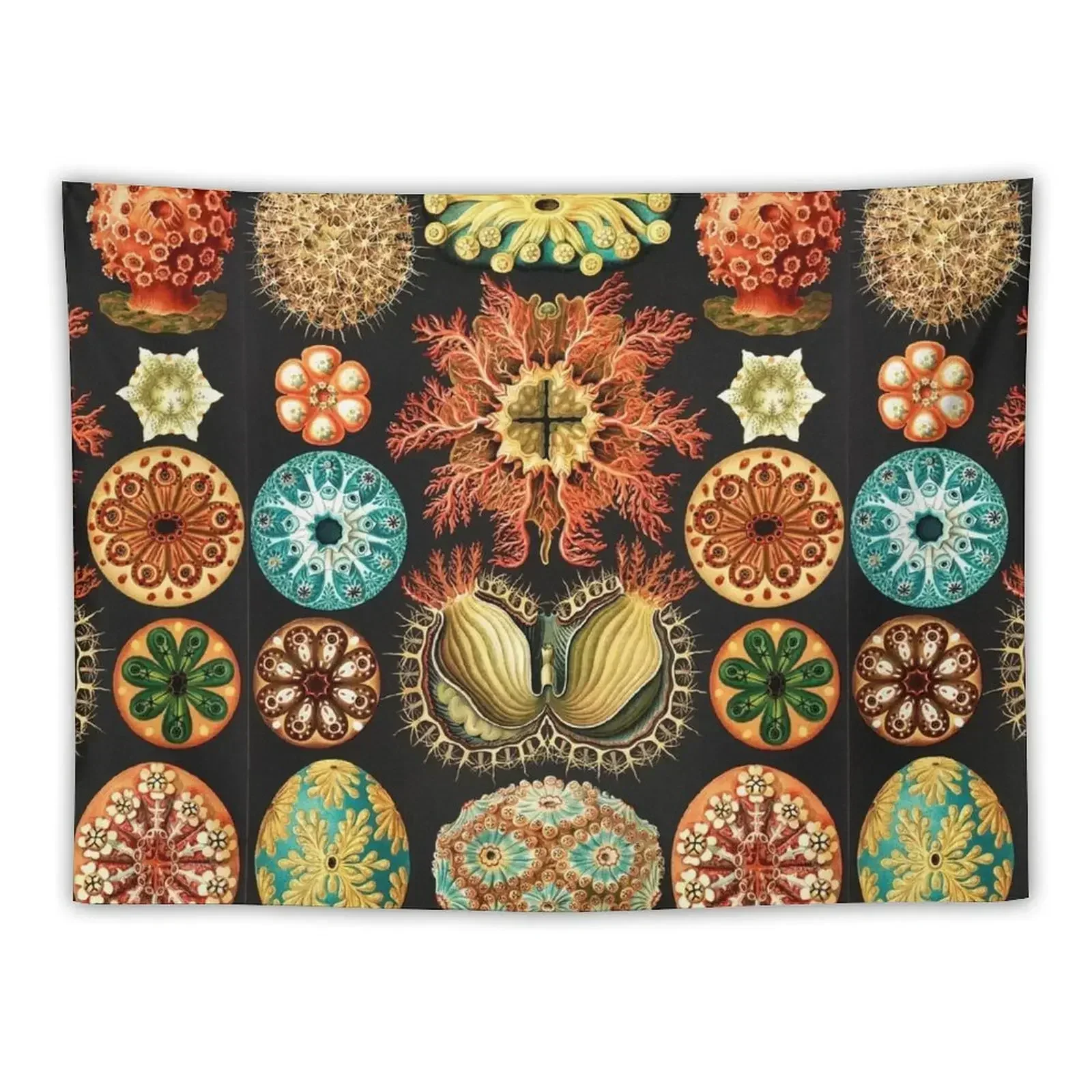Art Forms in Nature by Ernst Haeckel Гобелен Украшение дома Настенные украшения