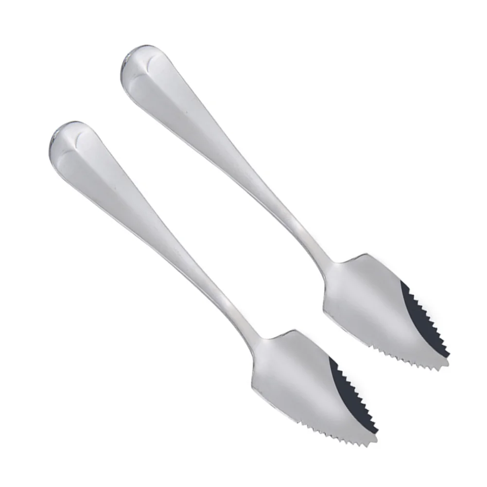 

2 Pcs Stainless Steel Fruit Spoons with Serrated Long Handle Grapefruit and Dessert Spoon Coffee Stirring Spoons