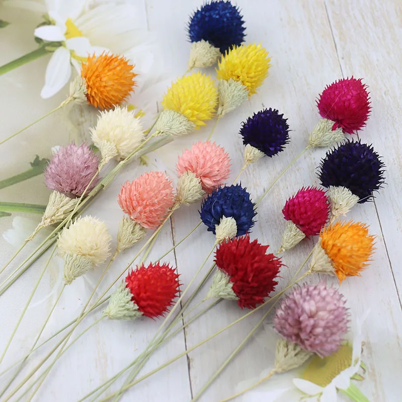 

Strawberry Fruit Flower Home Decor Natural Dried Flower DIY Immortal Flower Material Handmade Christmas Glass Cover Flower Box