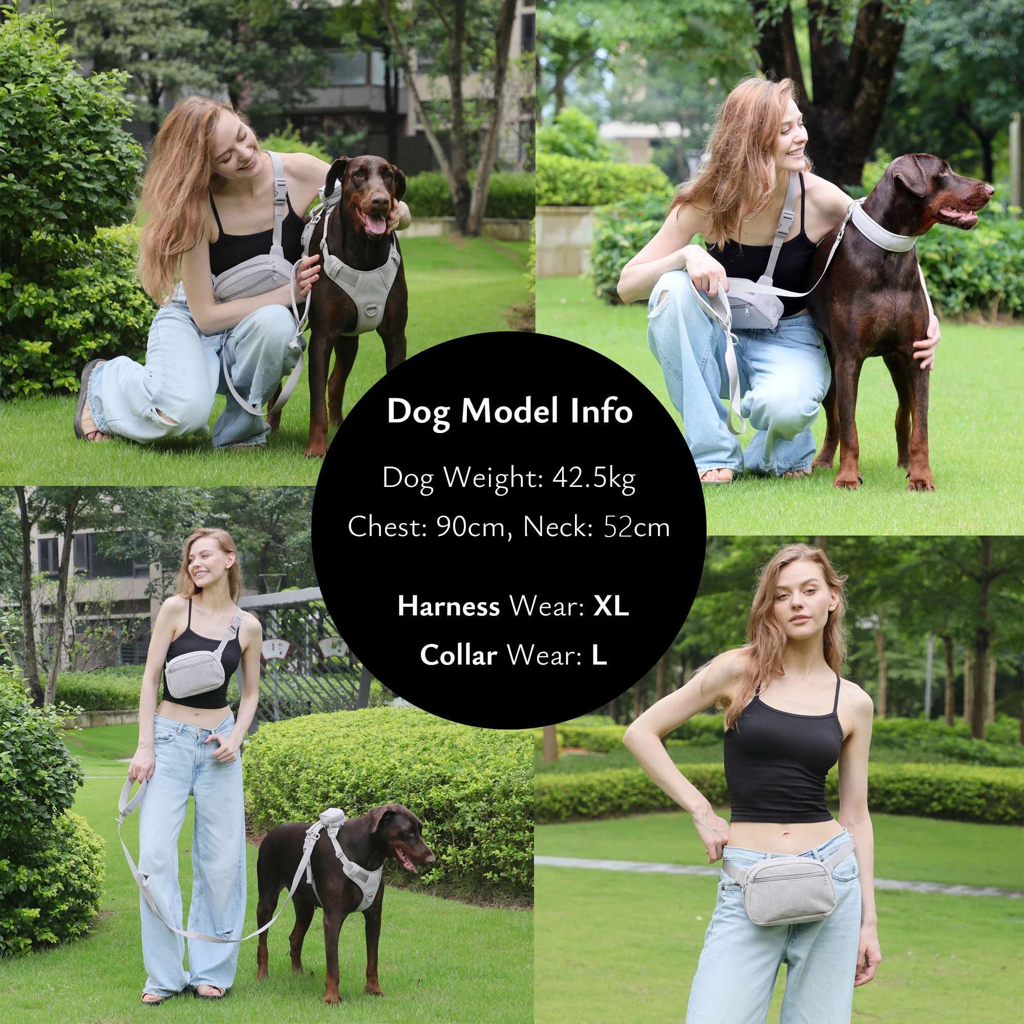 Персонализированная шлейка для собак Роскошный дизайнерский набор шлейфов и