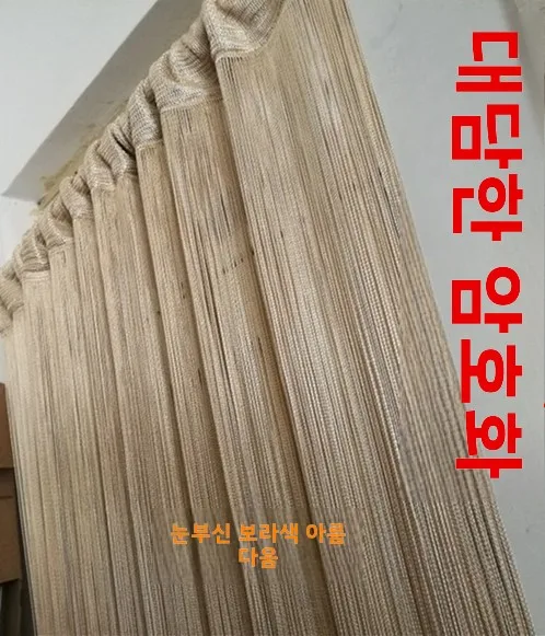 Роскошная утолщенная зашифрованная занавеска для прихожей без перфорации с