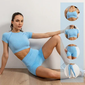 Seamless Women Yoga Set Workout Sportswear Gym Clothing Sport Set Women Hight Waist Seamless Legging in USA (United States)