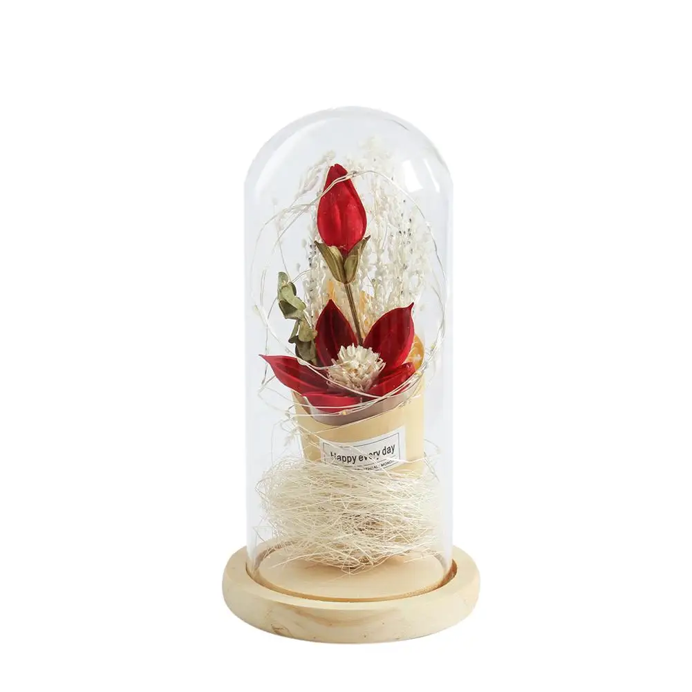 

Preserved Flower Leucadendron Shape Battery Powered String Light with Glass Shade for Valentine High Quality