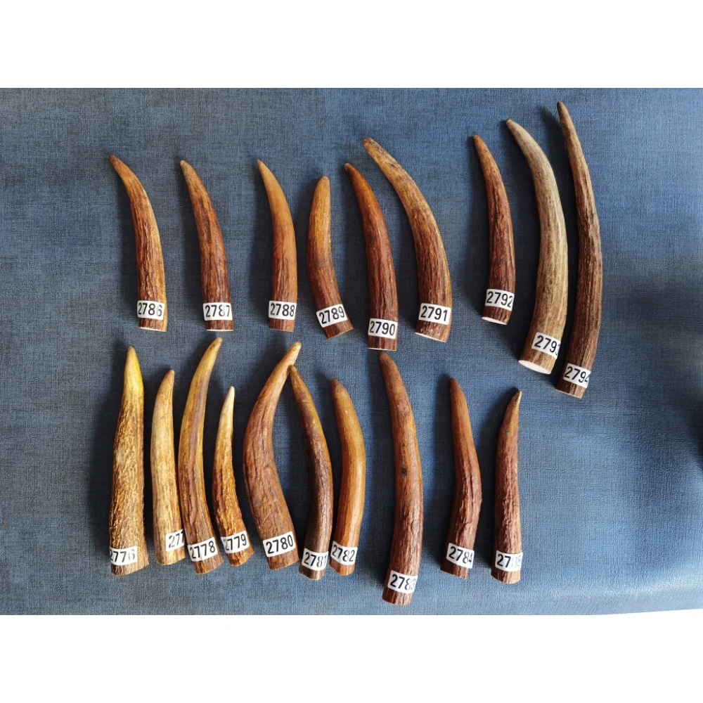 Материал для резьбы из кончика оленьих рогов прочный и высокой плотности