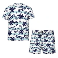 2022 hot sale men women summer hawaii outfits high quality 3d printed coconut palm tees and shorts daily casual fashion 2pcs set