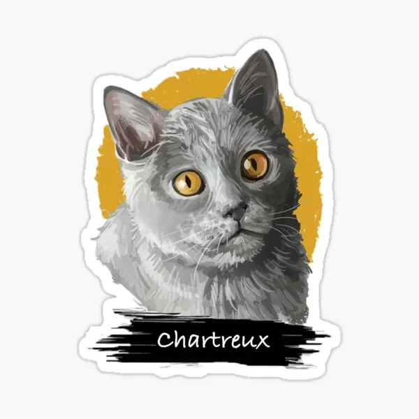 

Chartreux Cat Car Auto Sticker Sticker Colorful V1