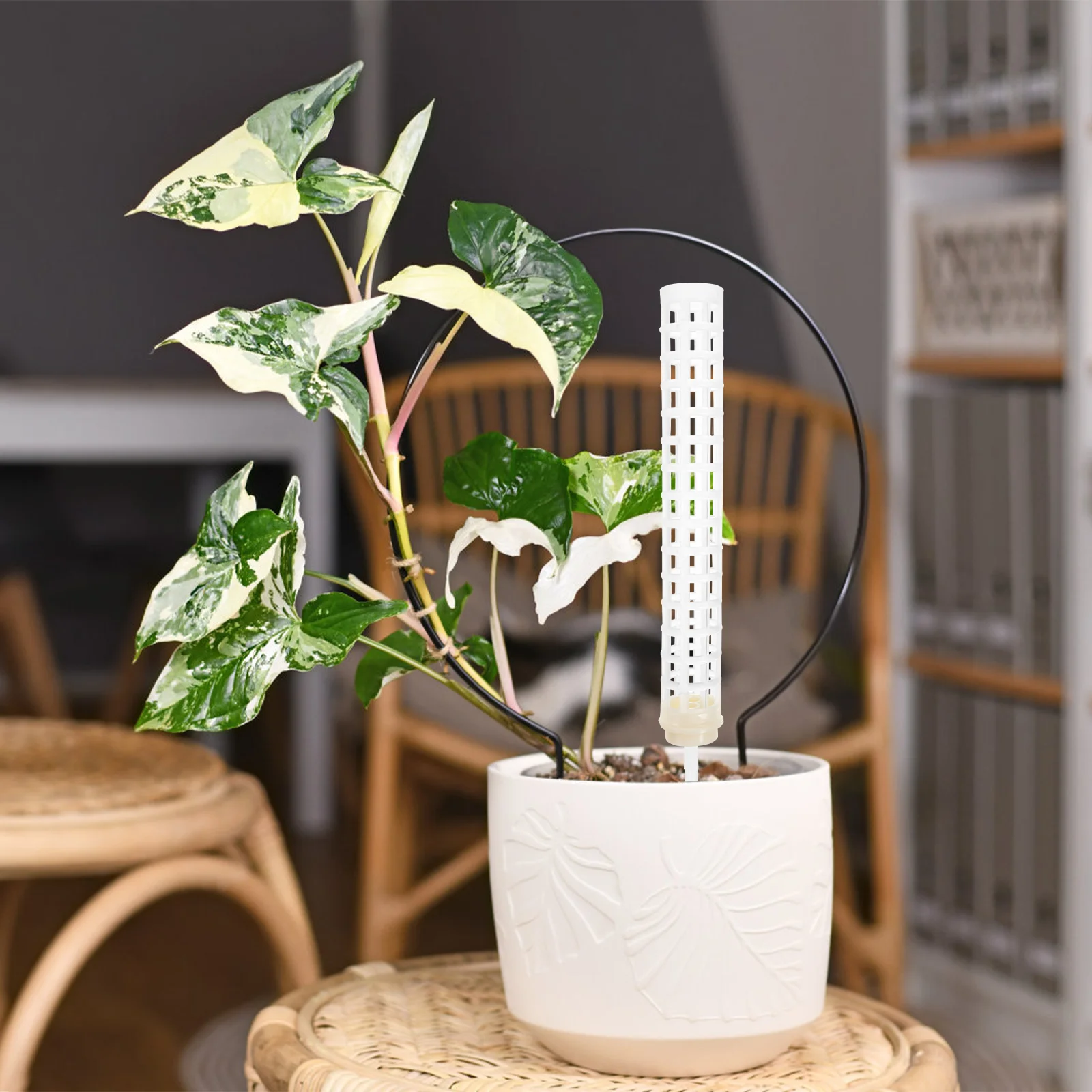 

Vegetable Cage Stand Climbing Plants Outdoor Sphagnum Pillar Vine Column Support Moss Pole Indoor Trellis Spiral Plastic White