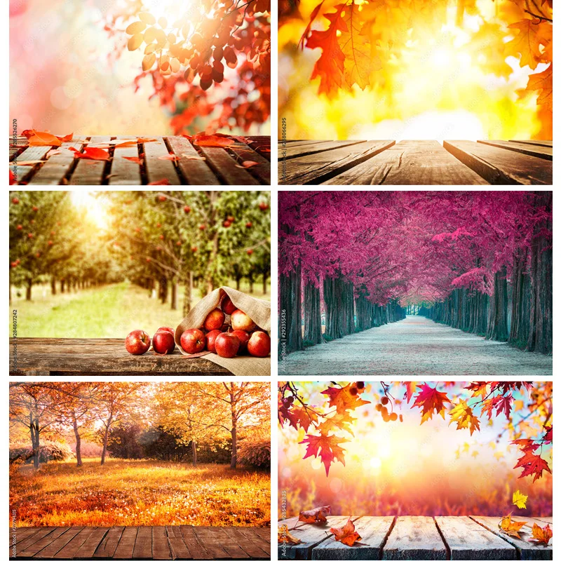 

Vinyl Custom Natural Scenery Photography Background Fall Leaves Forest Landscape Travel Photo Backdrops Studio Props QQTT-06
