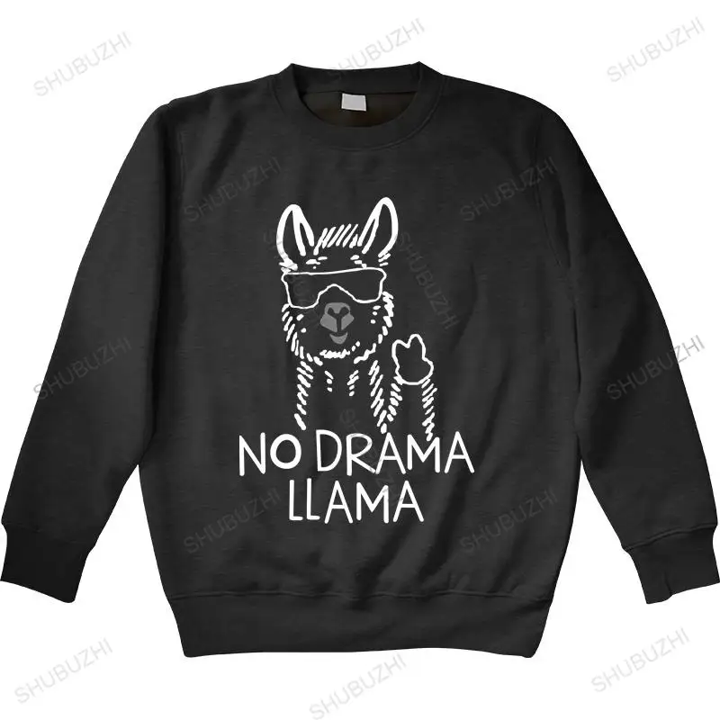 Мужская осенняя толстовка черная с капюшоном без ворса лама толстовки