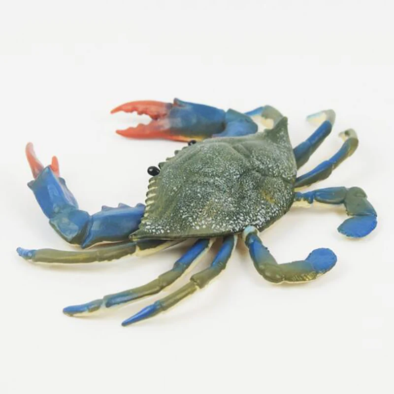 

Big Blue Foot Crabs Marine Animals Sea For Gift Educational Props Action Figures Hot Simulation Crab Model Photograph Props