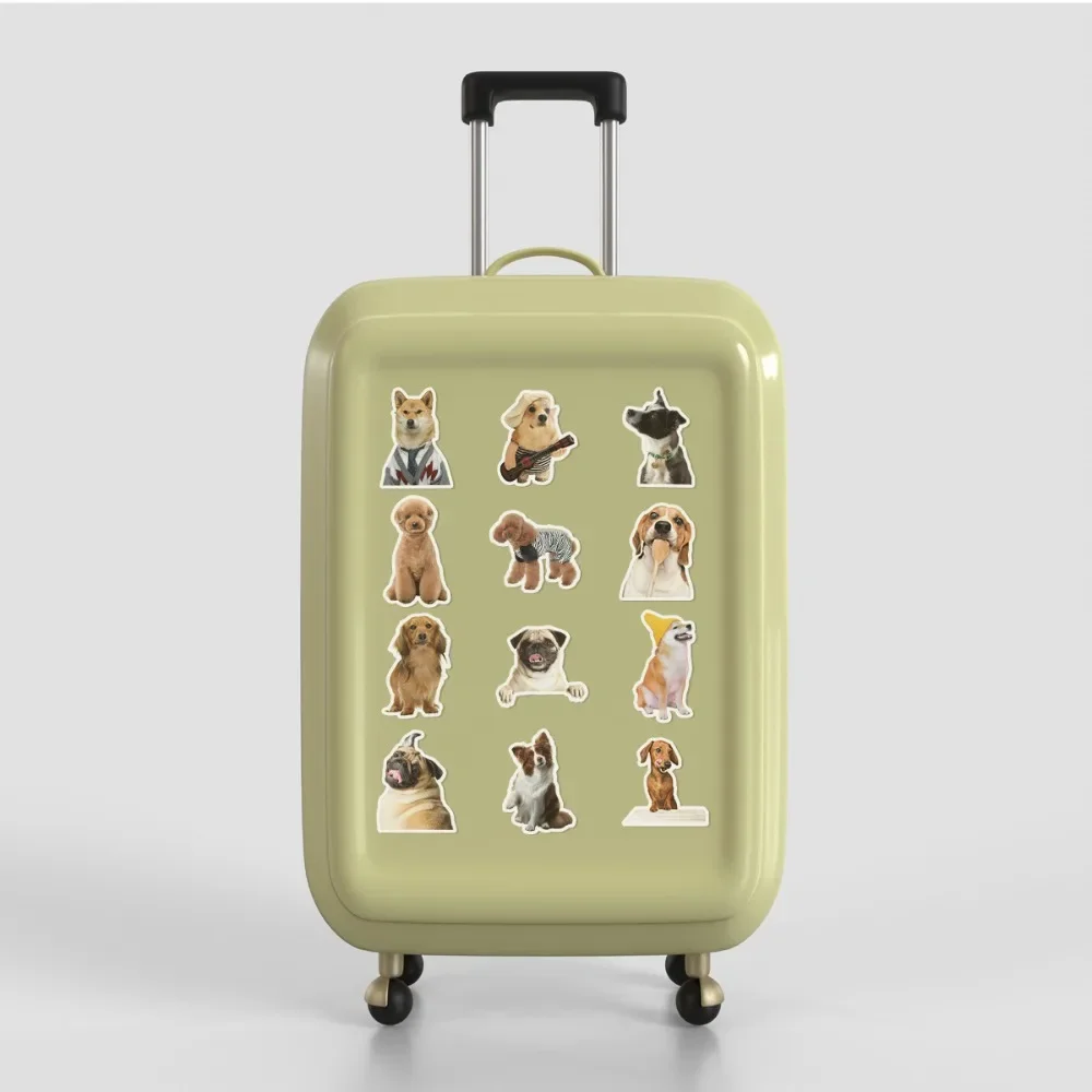 10/50 шт. водонепроницаемые наклейки для одежды