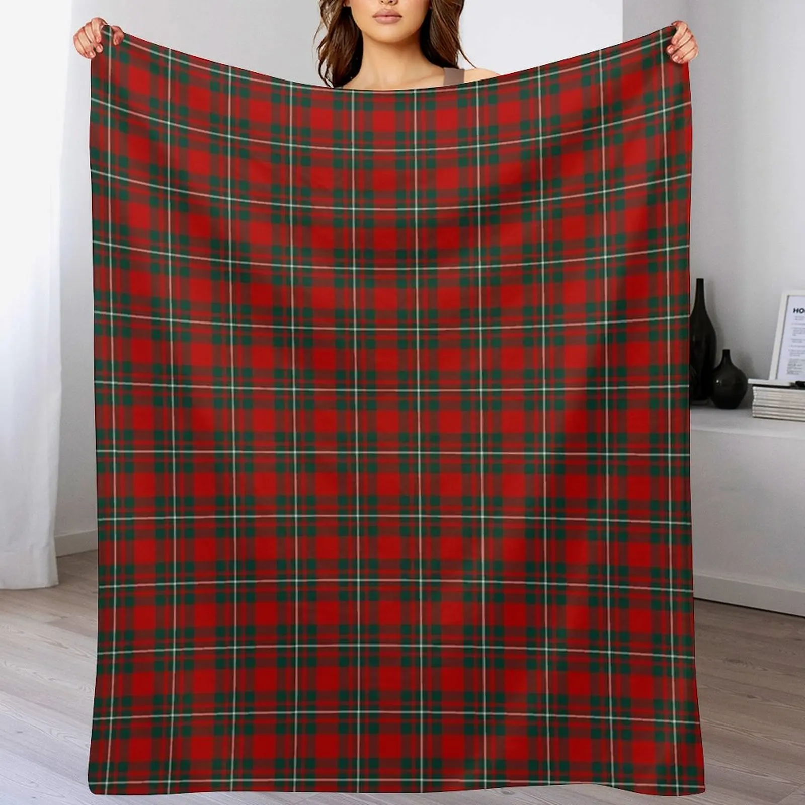 Фото Портативное легкое одеяло-плед Clan MacGregor Tartan для путешествий и кемпинга №1
