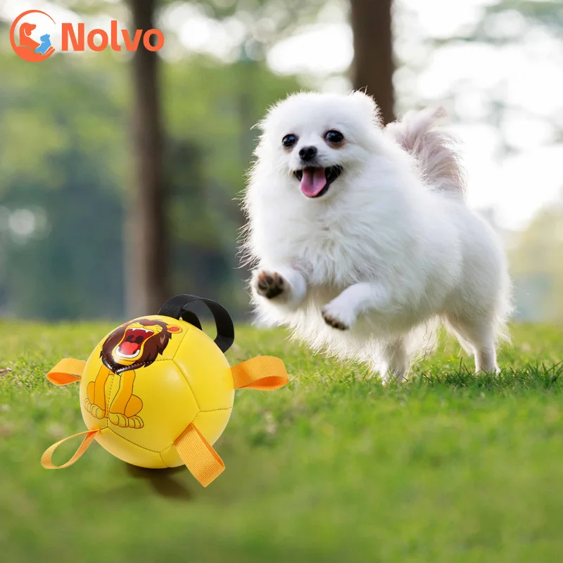 With Grab Tabs Interactive Outdoor Indoor Dog Toy Pet Water Toy For Australian Shepherd