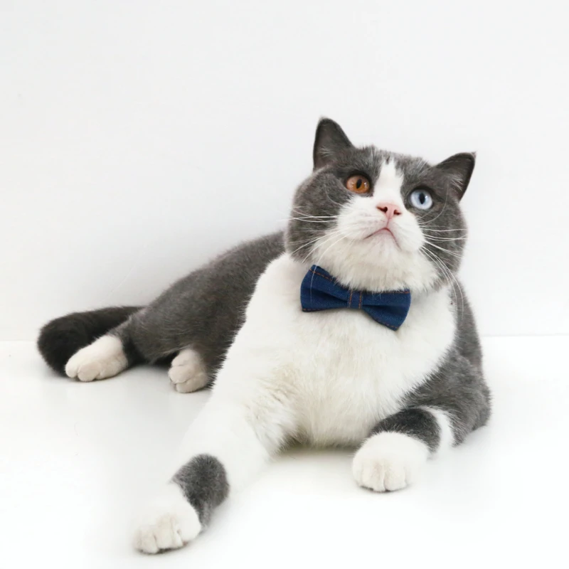

Denim Bowknot Cat Collar Breakaway Adjustable Puppy Chihuahua Bow Tie Cotton Pets Cat Collars Kitten Necklace Pet Accessories