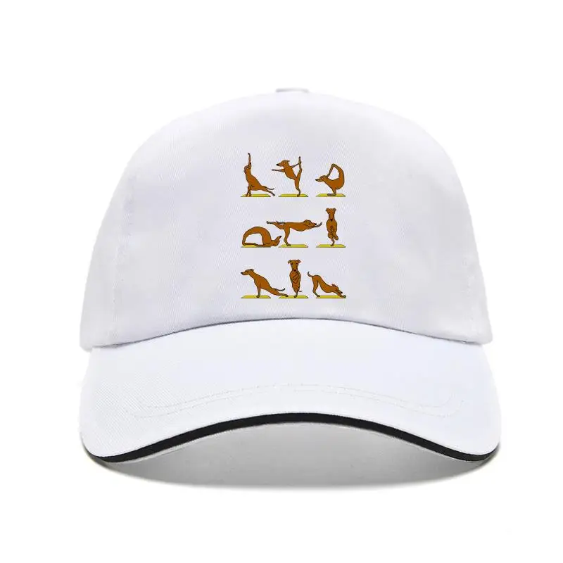 

Terrier Dog Vigorous Greyhound Dog Funny Bill Hats Corgi Puppy Motion 100% Cotton Mens Bill Hats Autumn Winner SweaCaps