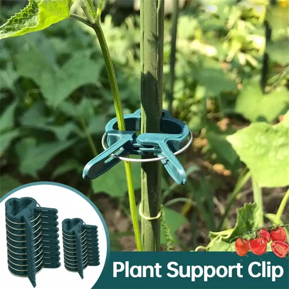 

20PC Reusable Plant Clips Plastic For Supporting Stems Of Flower Vine Vegetables Tomatoes Climbing Gardening Bracket Accessories