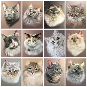 CHENISTORY Modern Painting By Numbers Paint Kit Drawing By Numbers For Adults Cats Painting Numbers Home Decoration Gift