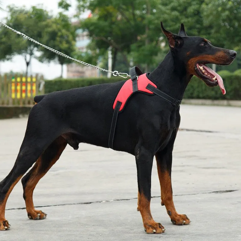 

2022 New Pet Sports Chest Harness Vertical Handle Dog Traction Vest Explosion-Proof Punch Dog Collar And Leash Set Dog Collar