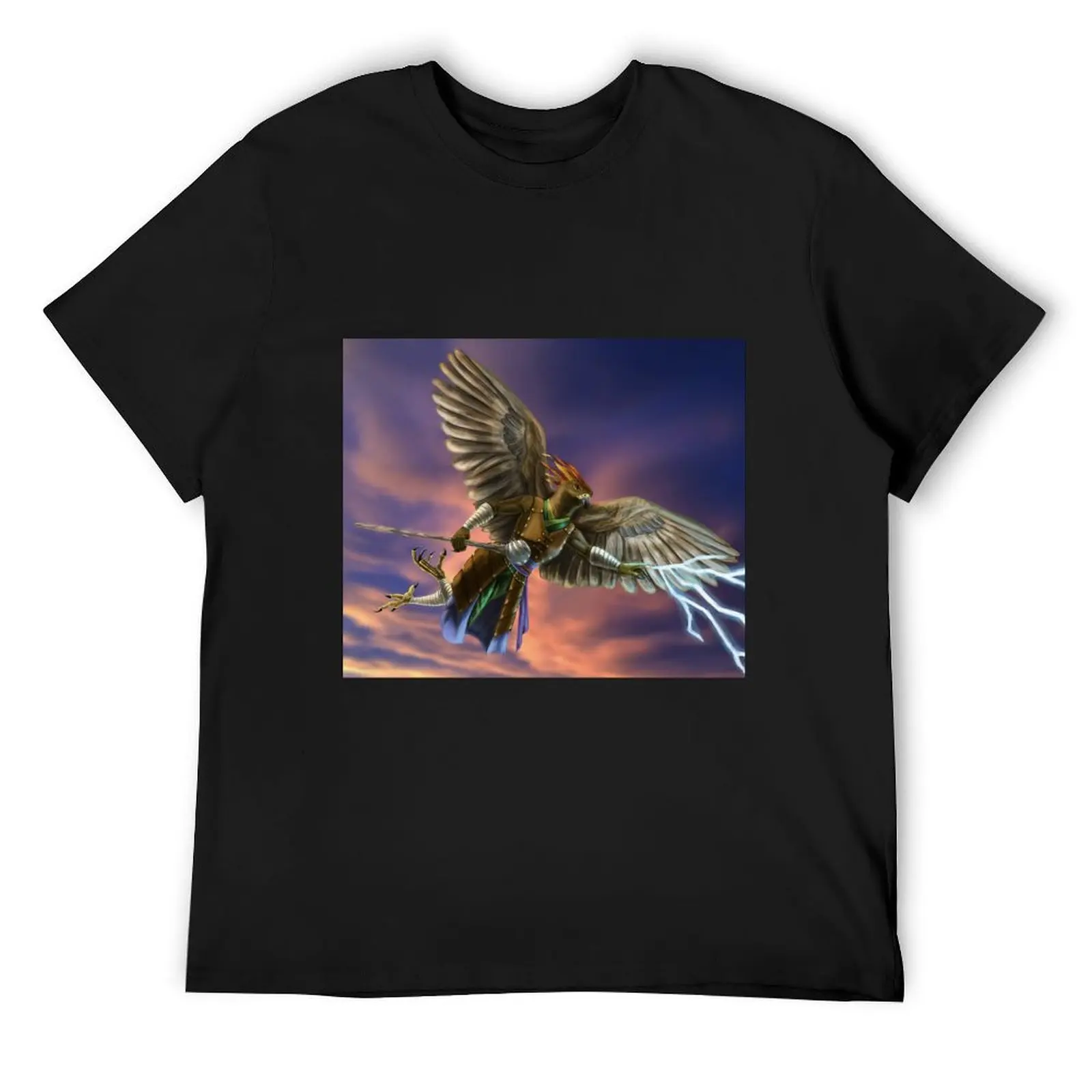 Aarakocra Spellcaster иллюстрация футболка заготовки мужская одежда дешевые вещи аниме