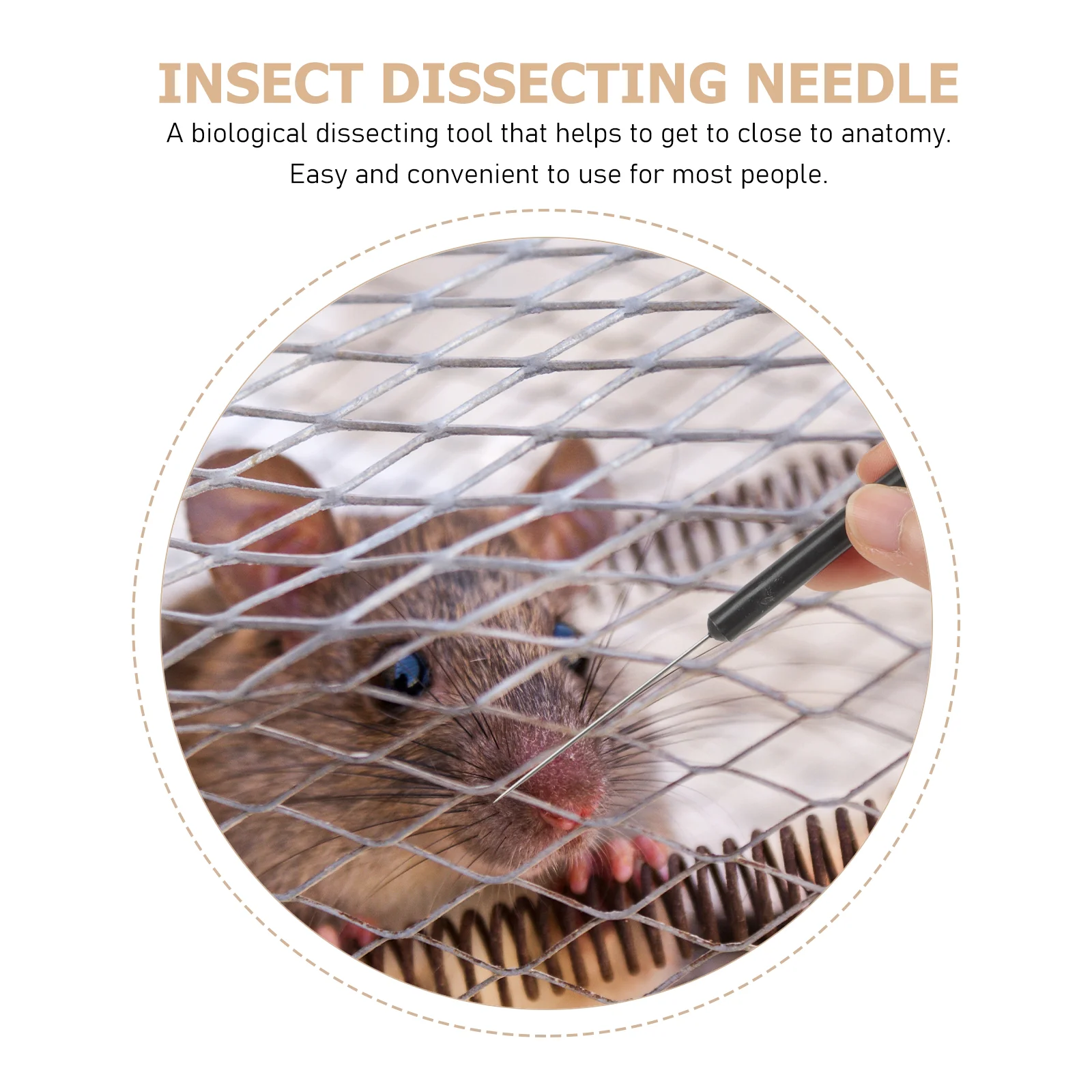 2 Pcs Insect Dissecting Needle Entomology Specimen Dissection Butterfly Tool Stainless Steel Laboratory School