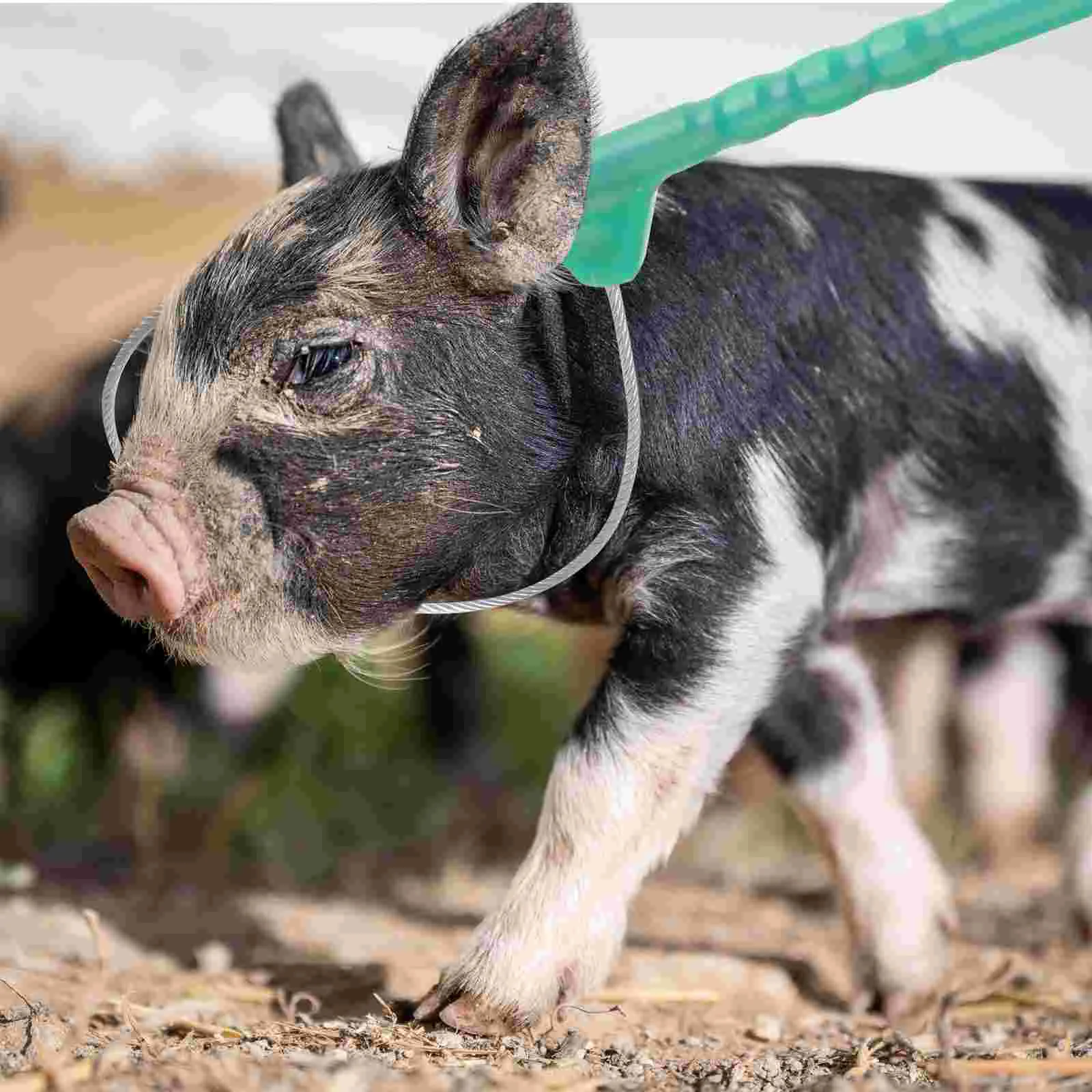 Набор для свиней стабилизирующий держатель с самоблокирующимся механизмом
