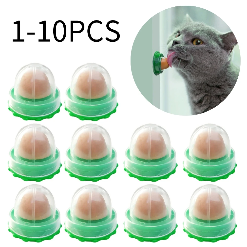 

10 шт., кошачья мята для котят