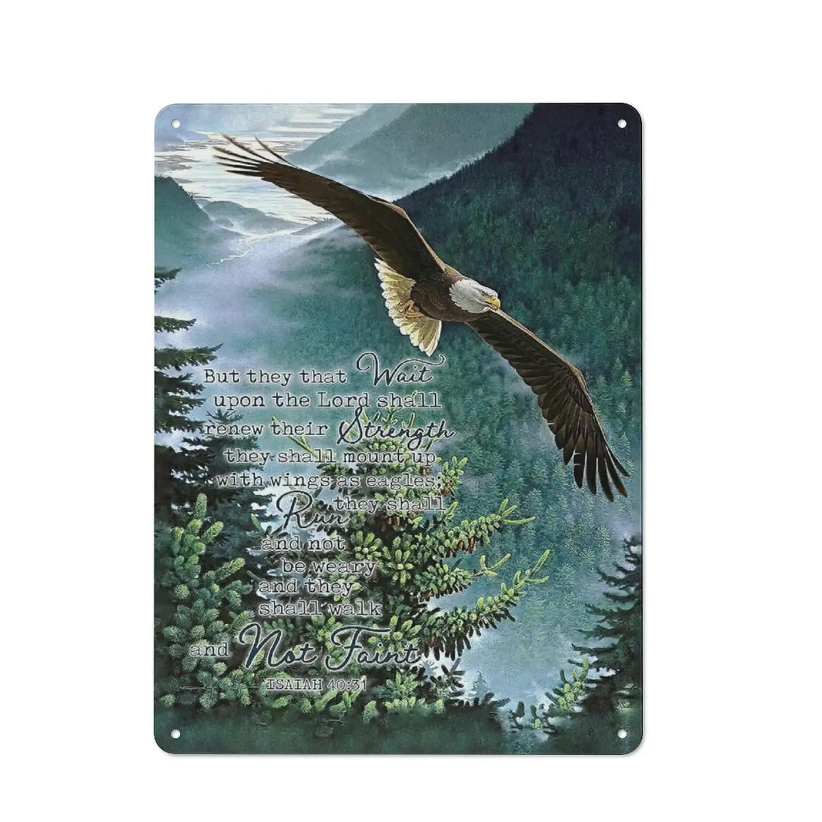 FixeLLD Деревенский металлический жестяной знак Орел украшение для Писаний