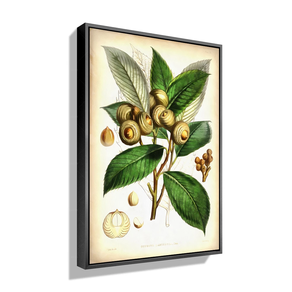 

Красивые цветы и листья Forbeauty с распылителем идеально подходят для любой стены