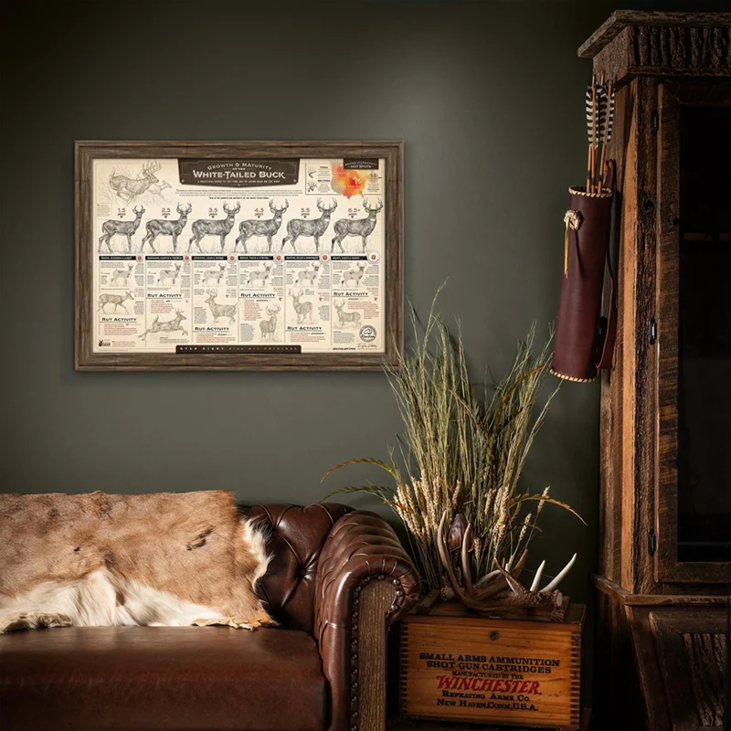 Принты бумаги рост и зрелость белого хвоста