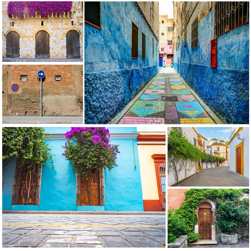 

Country Small Town Natural Scenery Photo Background Street Sky Photography Backdrop Living Room Decor Poster 22617 JD-05