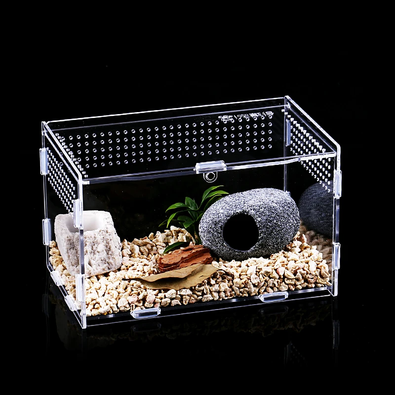 Animal and Plant Feeding Box Exhibition Reptile Habitat-Insect Acrylic Breeding Case |