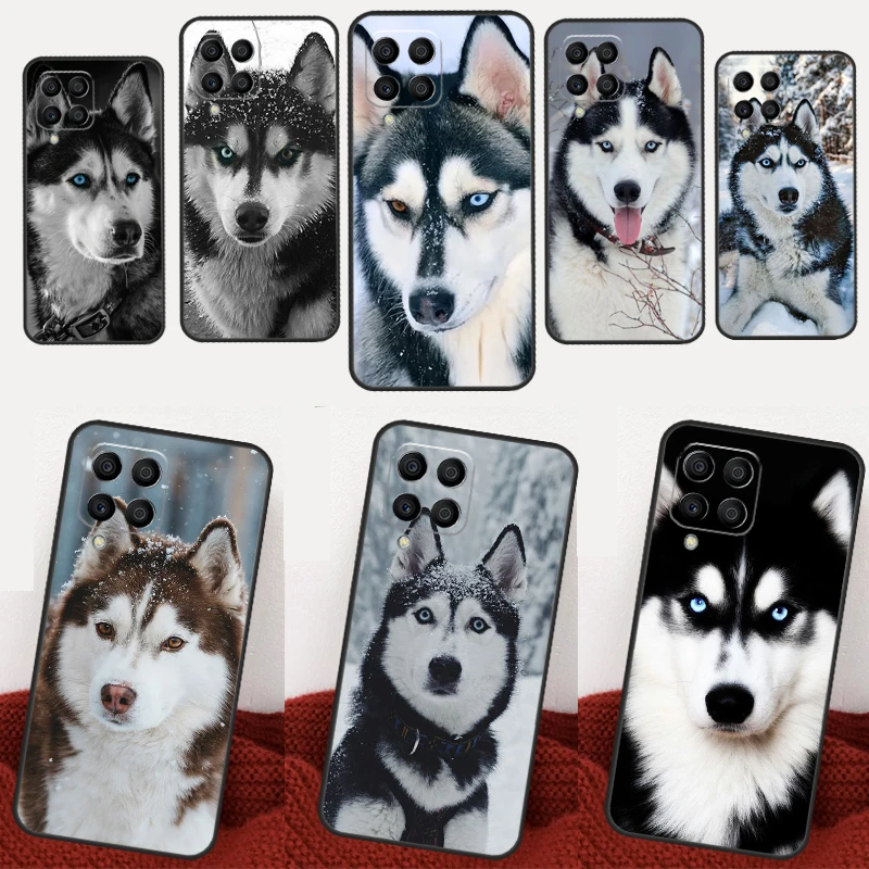 Чехол с изображением волчьей собаки хаски для Samsung Galaxy M23 M20 M53 M12 M22 M32 M31 M51 M14 M34 M54 M30s M31s M21 M13 M33