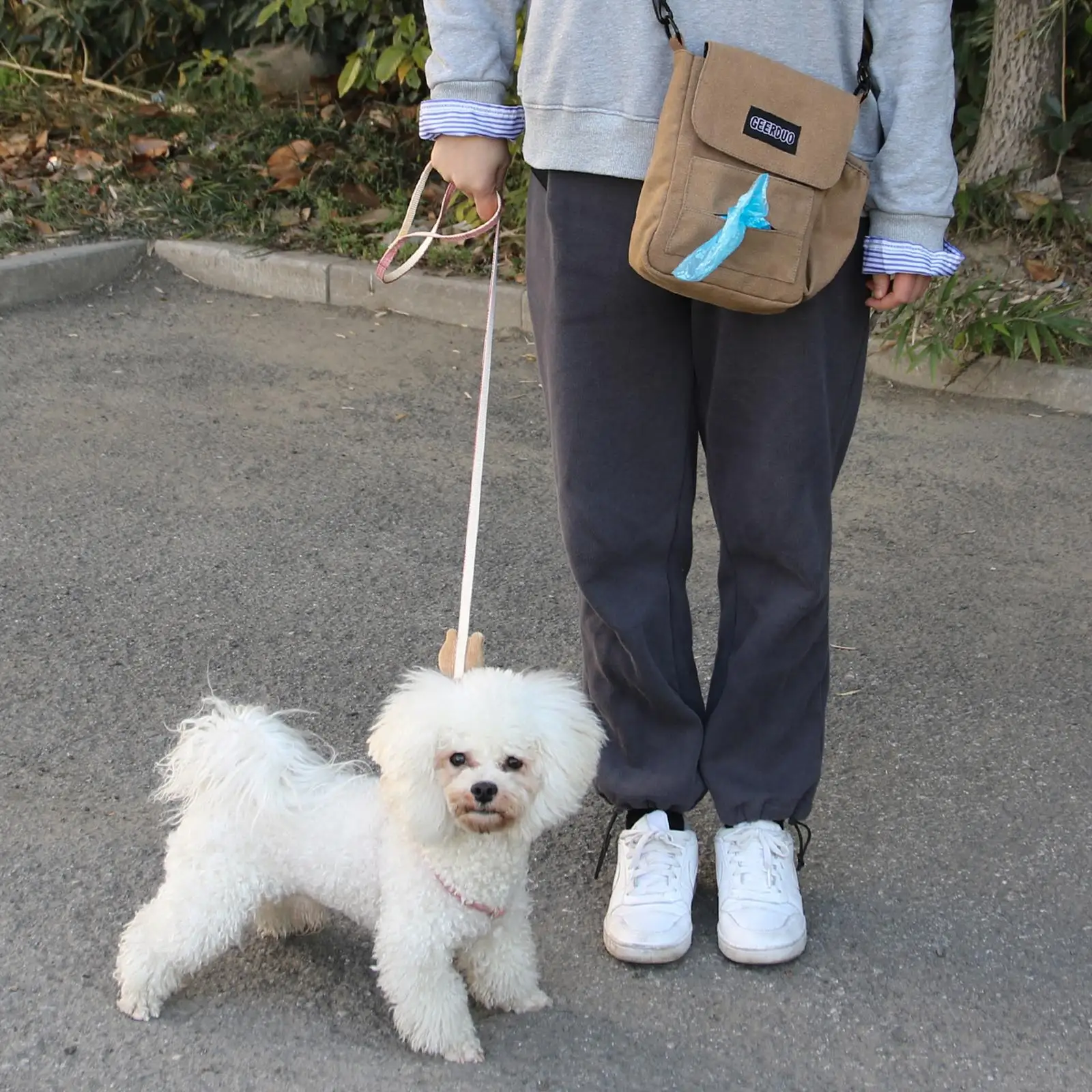 

Сумка для собак, сумка для тренировок, переноска закусок, игрушки для прогулок на открытом воздухе