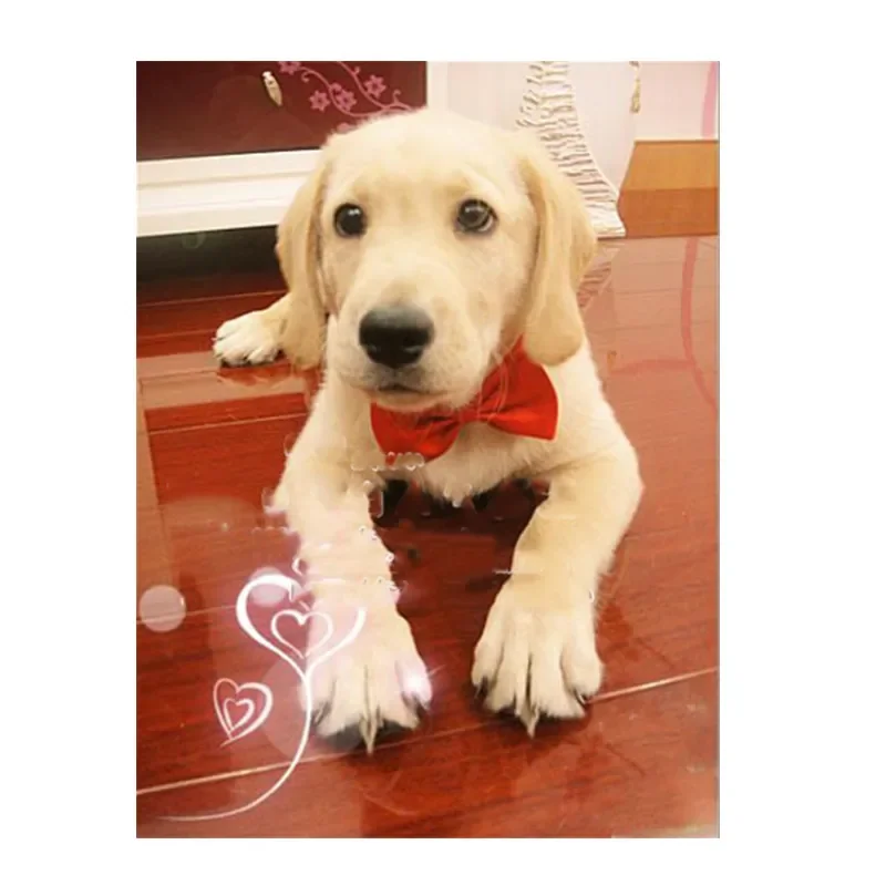 

Kawaii Dog Cat Necklace Adjustable Strap for Cat Collar Dogs Accessories Pet Dog Bow Tie Puppy Bow Ties Dog Pet Supplies