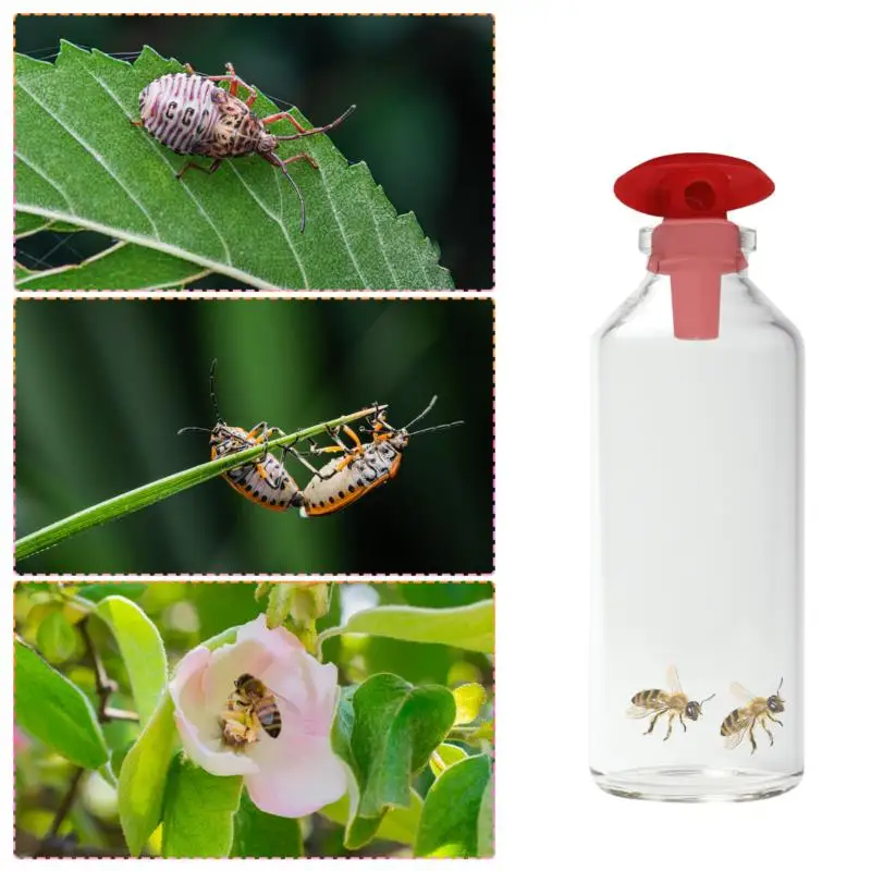 

Wasp Trap Silicone Bait Tool To Catch Flies And Mosquitoes With Pests To Catch Artifact Mosquitoes Flies Pest Catch Artifact