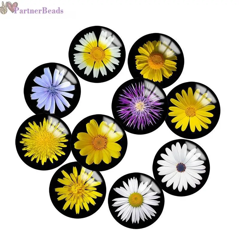 

Flower Round Photo Glass Cabochon Demo Flat Back Making Findings 20mm Snap Button N3281