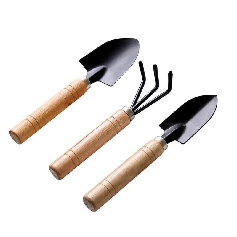 3 шт. мини-садовые инструменты лопата грабли набор Erramientas Bonsai деревянная ручка для
