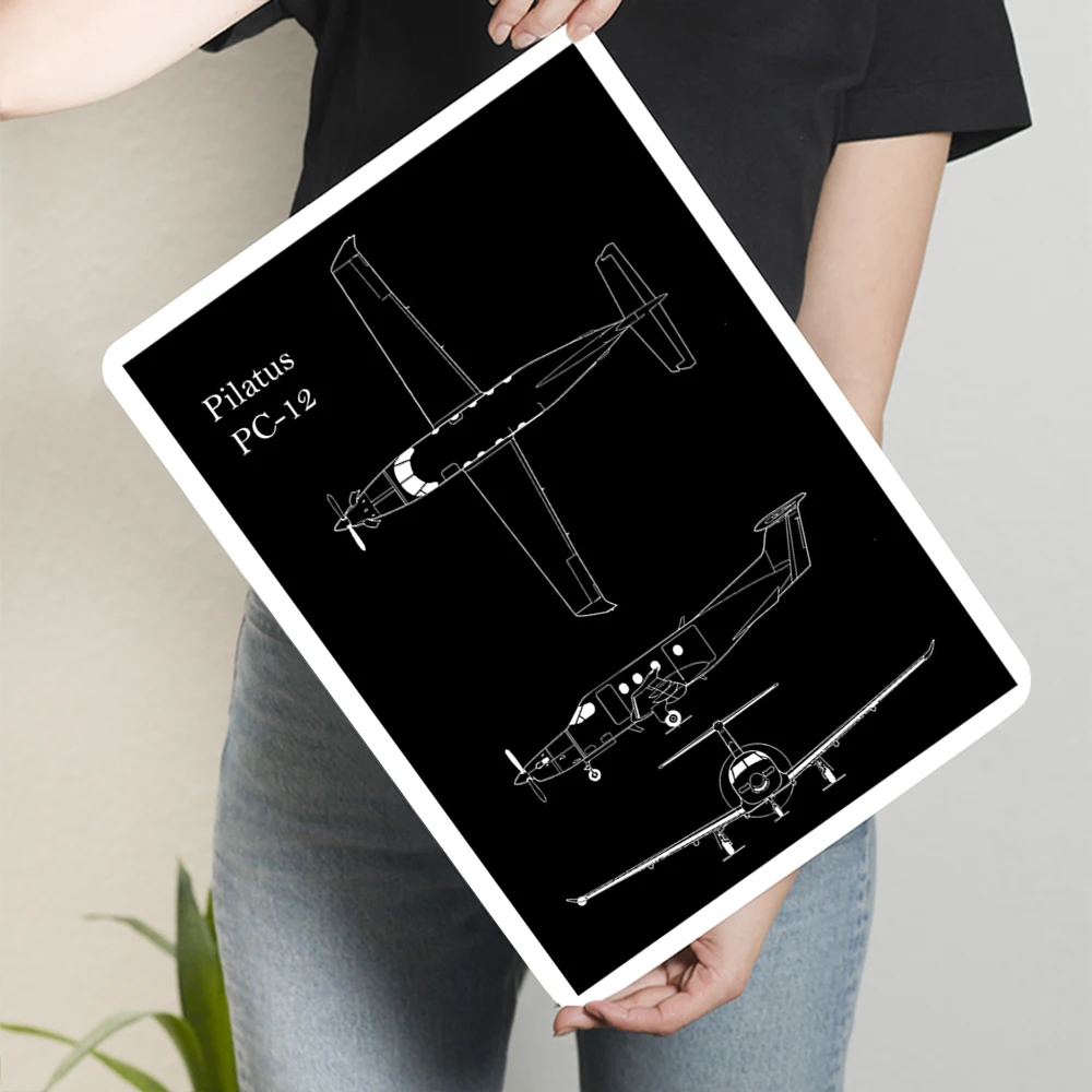 

Металлическая модель самолета Pilatus PC-12