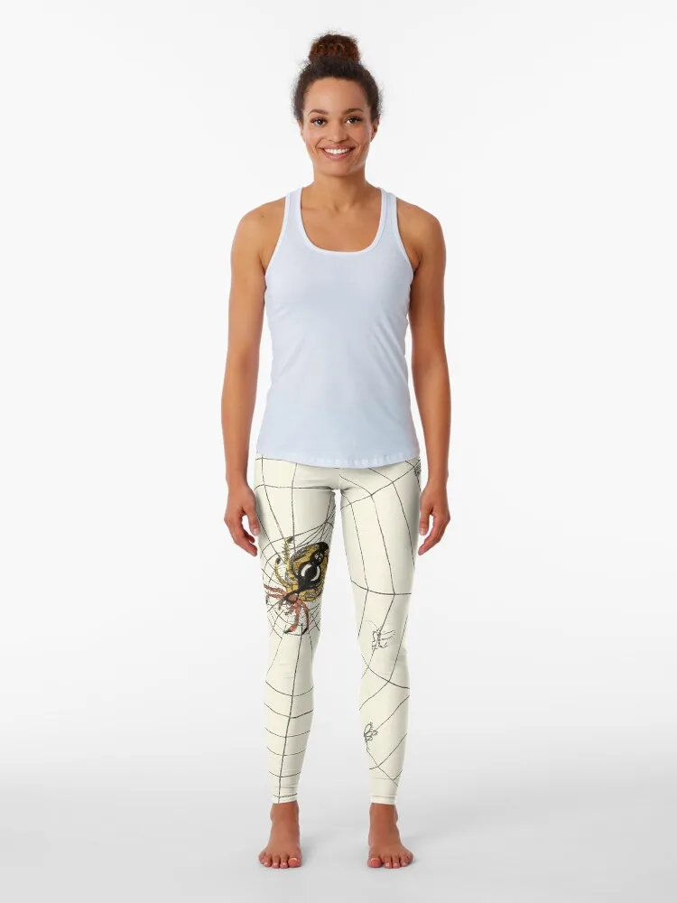 Винтажный садовый паук с веб-илюстрацией (1891) Леггинсы спортивная одежда для