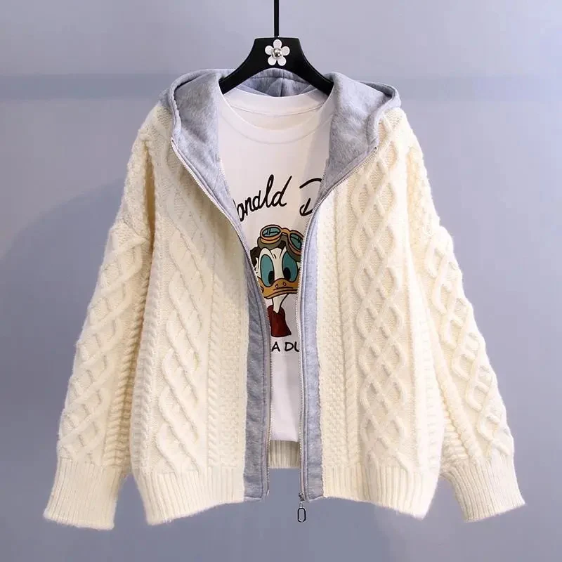 

New Spring Autumn Long Sleeve Sweater Cardigan Coat Women Korean Fashion Casual Knitted Female Hooded Sweater Jacket Zipper Blue
