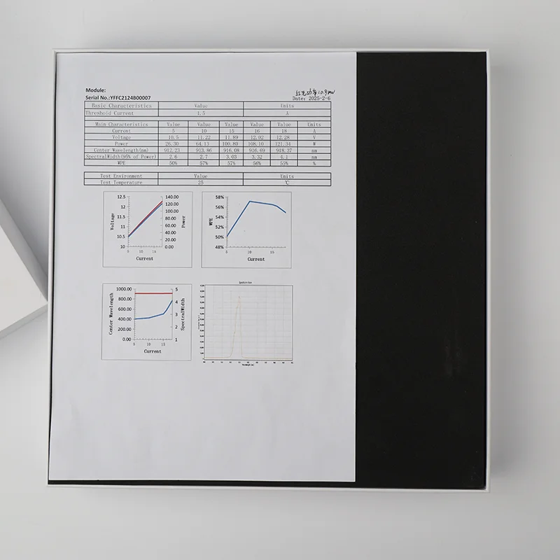 Источник лазерного насоса Raycus 120 Вт