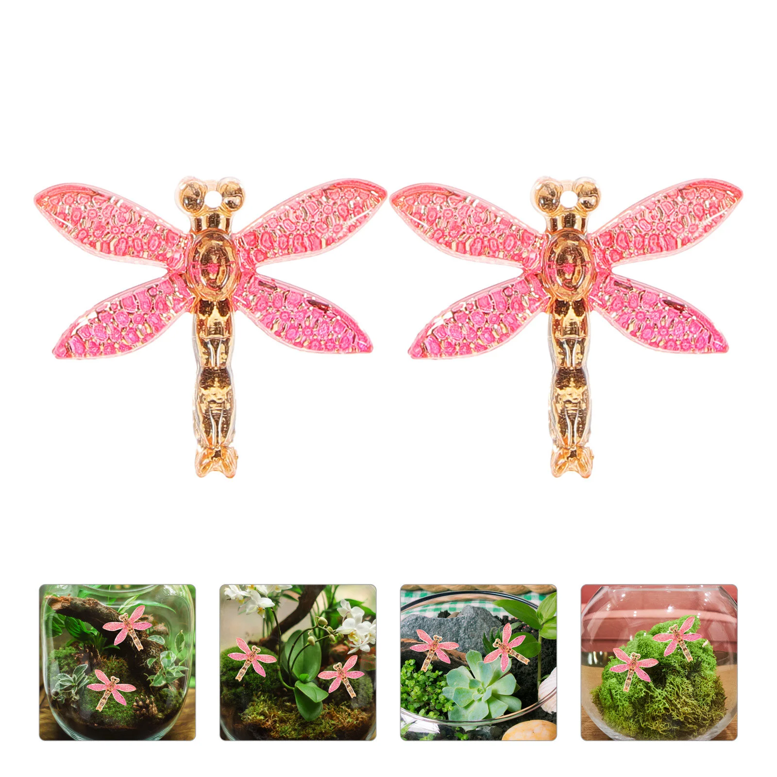 

10 Pcs Succulent Micro Landscape Potted Mini Dragonfly Charms Tiny Resin Insect Animals Embellishments Crafting Scrapbook