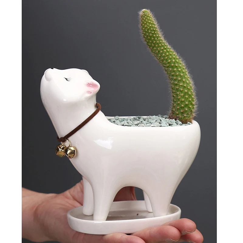 

Ceramic Succulent Flowerpot Garden Garden Gardening Decoration Cat Tail Cactus Ceramic Balcony Flowerpot Decoration Ornaments
