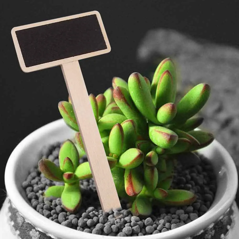 

20 шт./компл. ярлыки для мелочей, овощей, цветов, горшков, декора, уличная садовая доска для сообщений, деревянные бирки для растений, T-тип, лег...