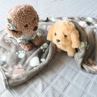 pet blanket mat double sided printing coral flannel flannel hairless dog blanket pet fleece pad bed mat for puppy dog cat