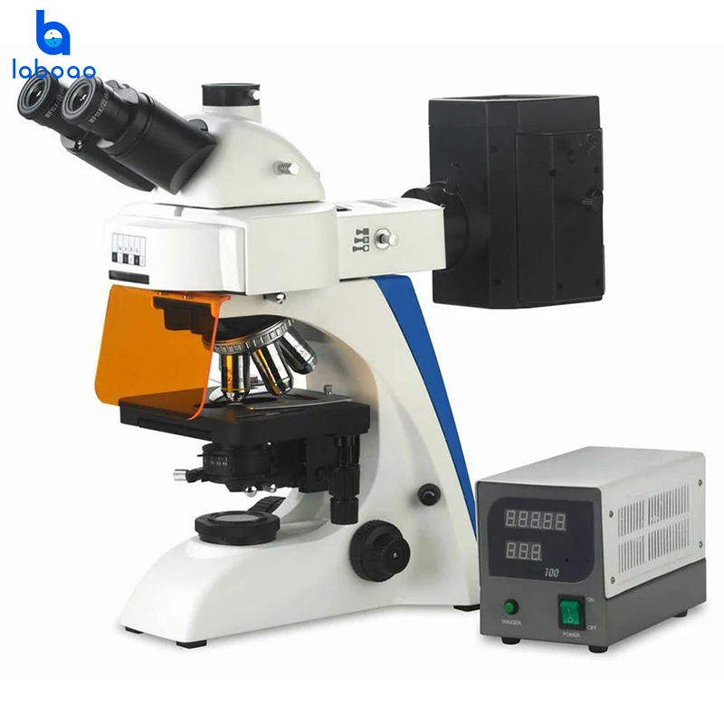 

Professional Lab Fluorescence Microscope Biological with Camera