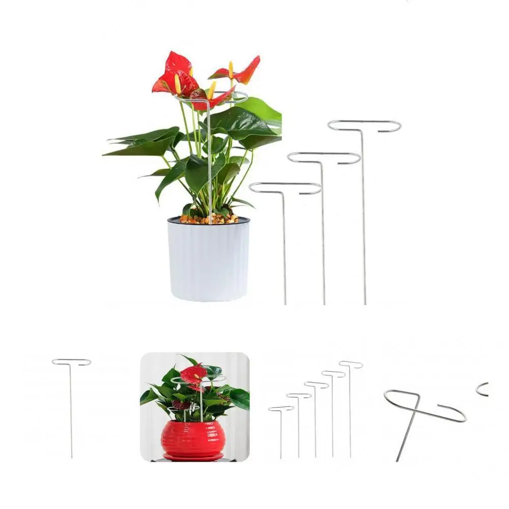 

Multifunctional Ornamental Decorative Sturdy Plant Trellis for Rose
