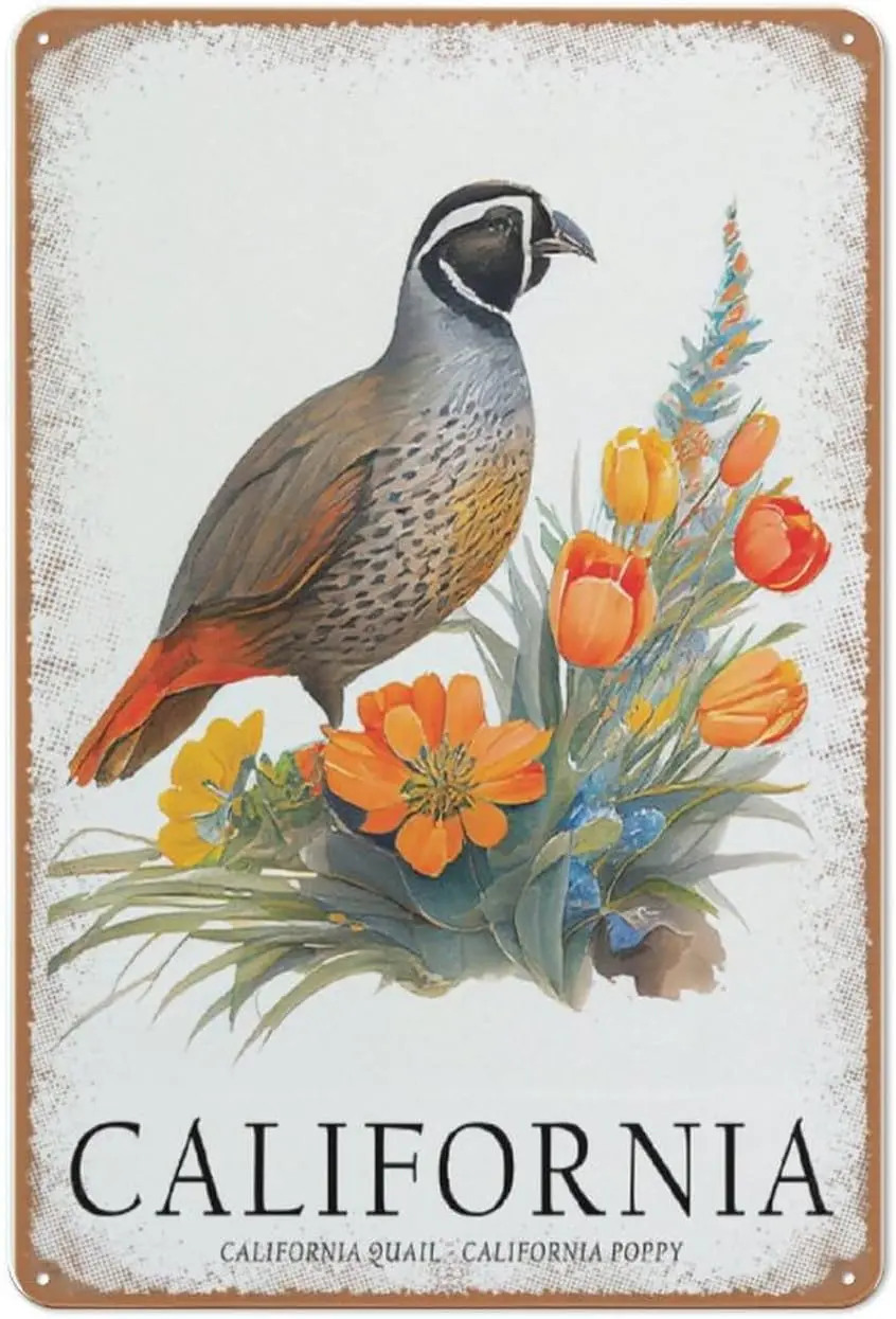 Clforn Stte Brd rt Prnt Flower Wll Домашний декор Metl Sgn Decor Mn Cve Br Gfts для мамы Dd