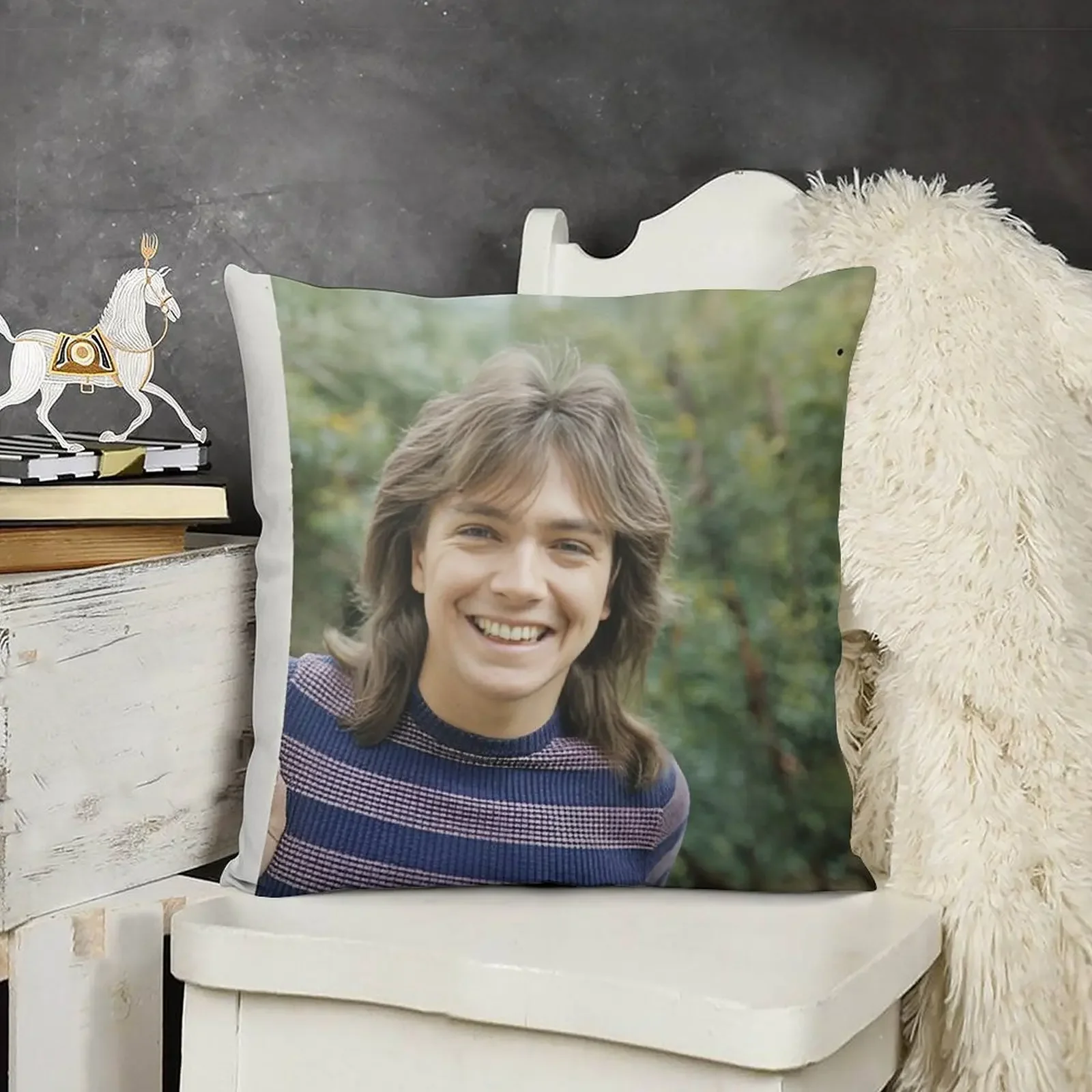 Дэвид Кассиди милая улыбка декоративная подушка чехол для дивана роскошные