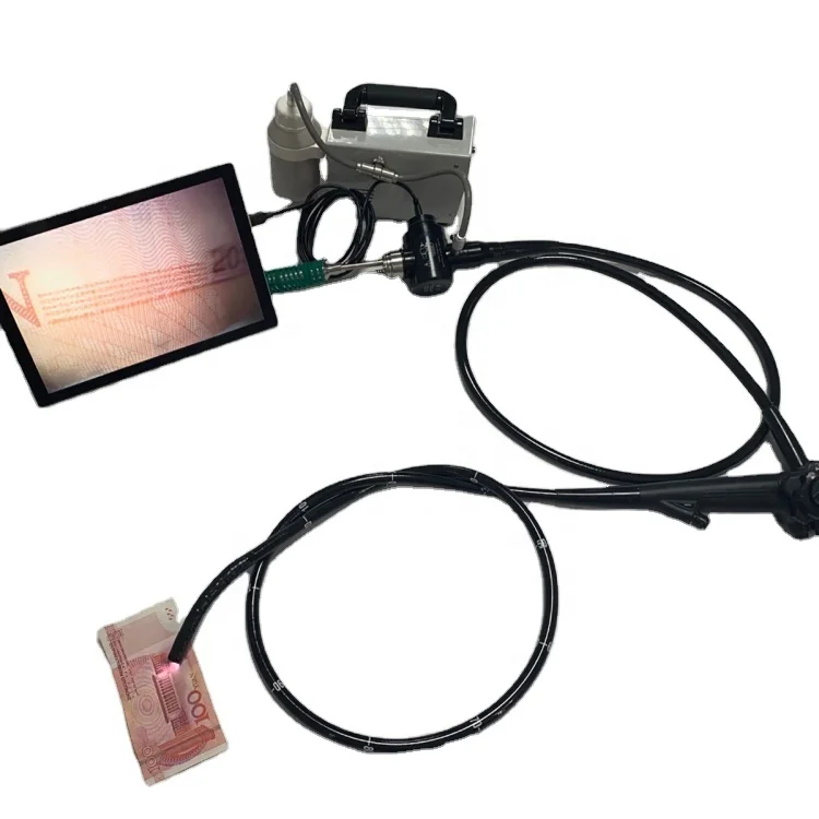 

Great Quality Flexible Vet Video Gastroscope and Colonoscope MSLVF04
